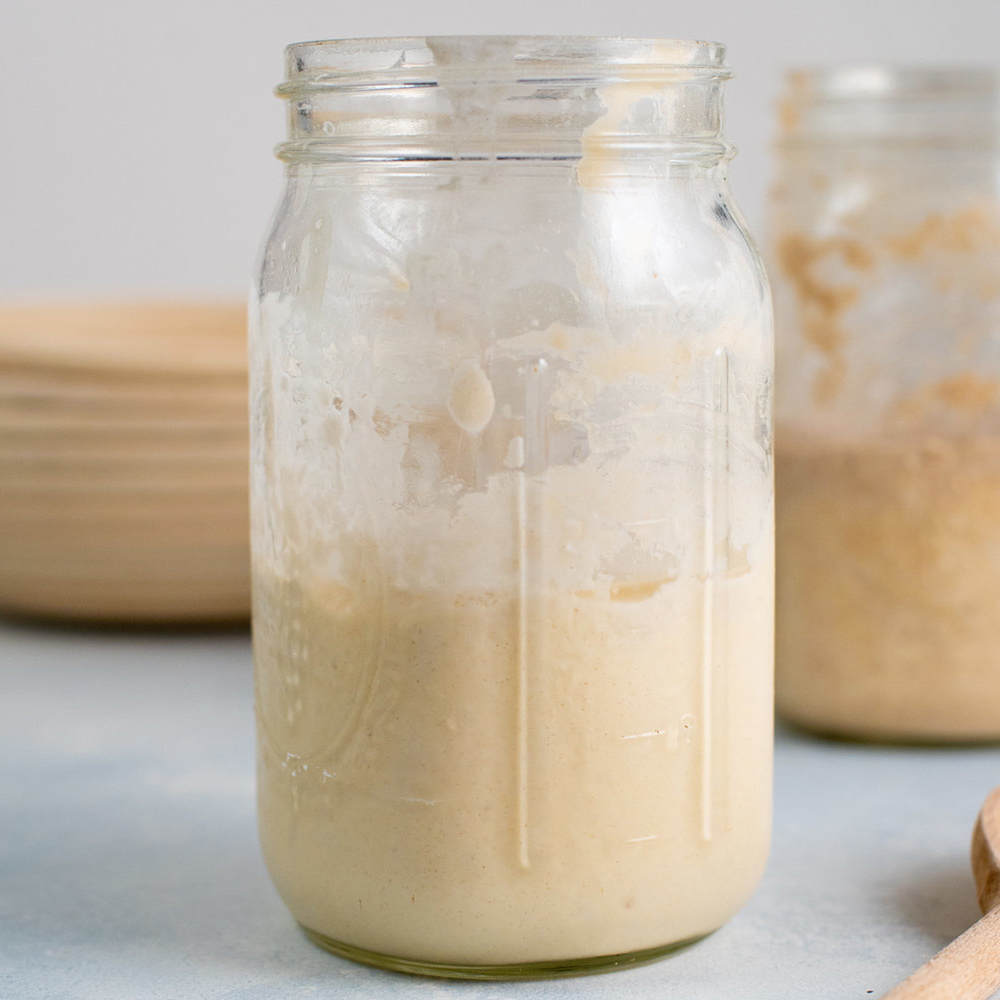 Sourdough Starter